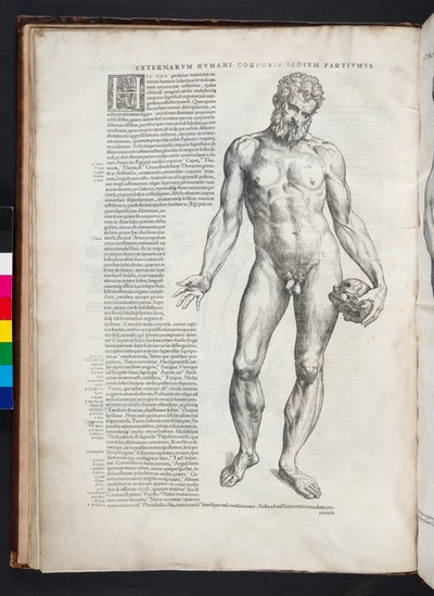 ヘラクレスのイラスト、人体デバイスアドレス帳、バーゼル、1543 作： Andreas Vesalius