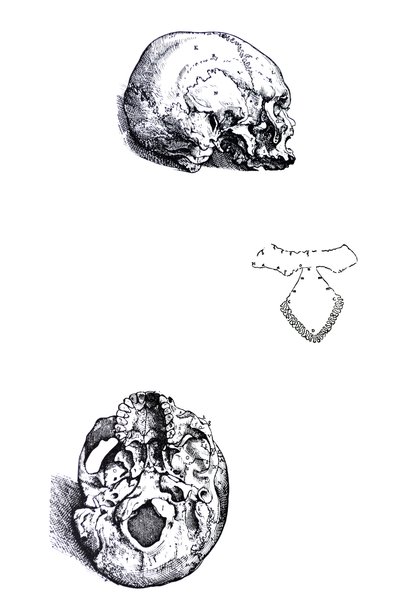 De Humani Corporis Fabricaの最初の本のプレート 作： Andreas Vesalius