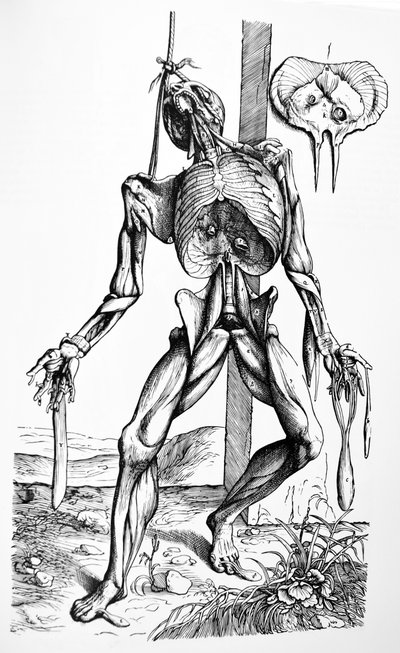 De Humani Corporis Fabricaの2冊目のプレート 作： Andreas Vesalius