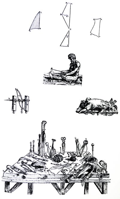 De Humani Corporis Fabricaの2冊目のプレート 作： Andreas Vesalius