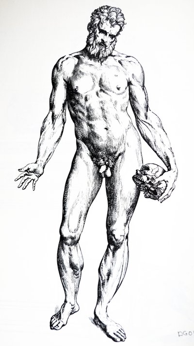 De Humani Corporis Fabricaの7番目の本のプレート 作： Andreas Vesalius