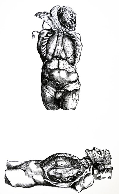デヒューマニコルポリスファブリカの6冊目の版 作： Andreas Vesalius