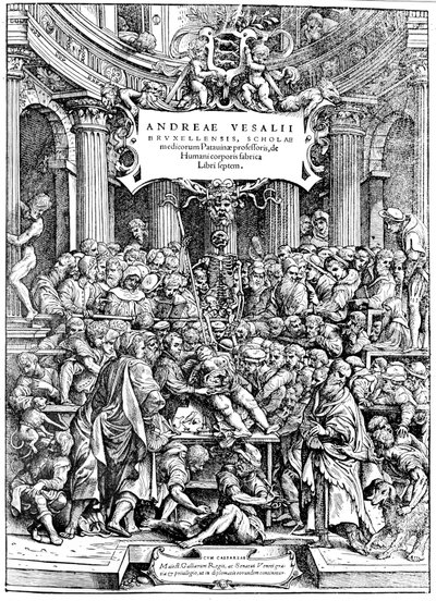 人体のタイトルページ、解剖解剖体を示すヴェザリウスのファブリカ図1543 作： Andreas Vesalius