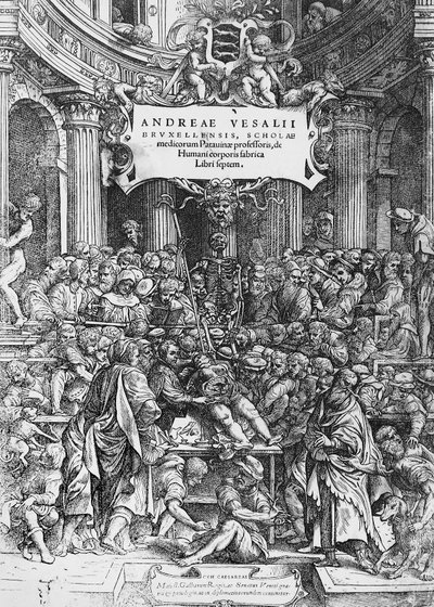アンドレアス・ヴェサリウスが死体を解剖している様子が描かれた『De humani corporis fabrica』（ラテン語で人体の構造について）のタイトルページ 作： Andreas Vesalius