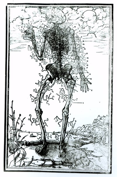 体の血管系 作： Andreas Vesalius