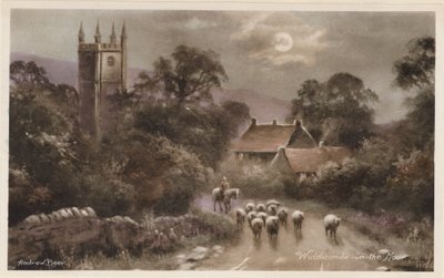 ダートムーアウィディコム・イン・ザ・ムーア（カラー写真） 作： Andrew Beer