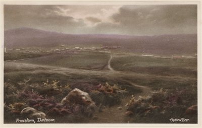 プリンストタウン、ダートムーア（カラー写真） 作： アンドリュー・ビア