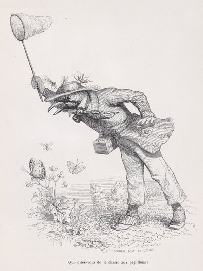 Scenes from the Private and Public L... の蝶狩りについてどう思いますか? 1837-47。 作： Andrew Best Leloir