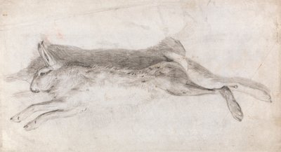 死んだうさぎ 作： Andrew Geddes