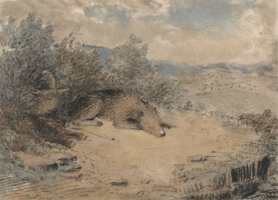 風景の中で眠っている牧羊犬 作： Andrew Geddes