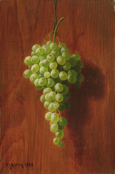 ブドウ（緑）、1884 作： Andrew John Henry Way
