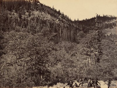 プレート191869年、リトルララミー川源流の木材の間（写真）。 作： アンドリュー・ジョセフ・ラッセル