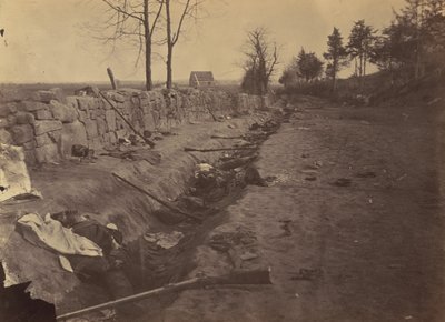 1863 年 5 月 3 日、反乱軍の死者がいるフレデリックスバーグの裏のストーン ウォール。 作： Andrew Joseph Russell