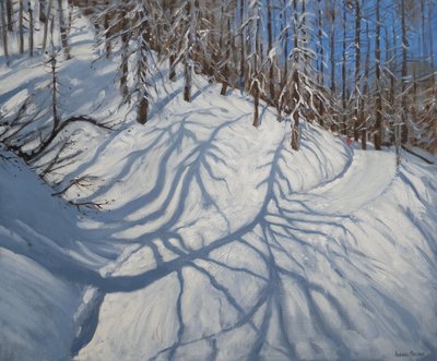 モミの木の影、ティーニュ、2009 作： Andrew Macara