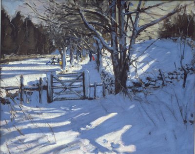 Youlgreave、ダービーシャーの近くのゲート 作： Andrew Macara
