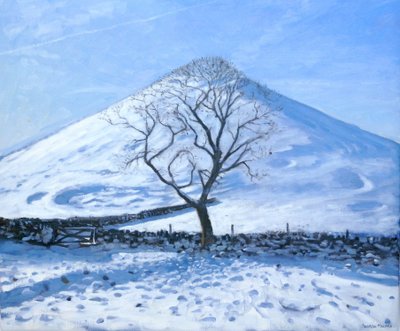 ヒルとツリー、ダービーシャー、2008 作： Andrew Macara