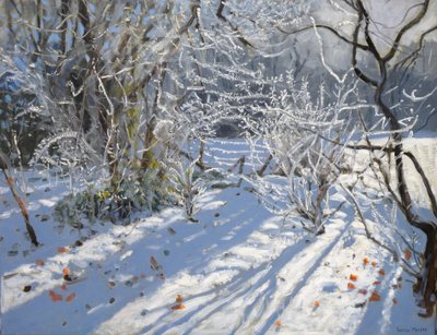 ホアーフロスト、2011 作： Andrew Macara