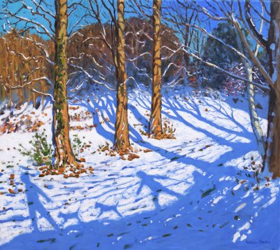 11月の雪、Allestree Park、ダービー、2017年 作： Andrew Macara