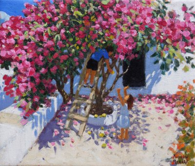 レモンを摘む、スキアトス島、ギリシャ、2021年、（キャンバスに油彩） 作： Andrew Macara
