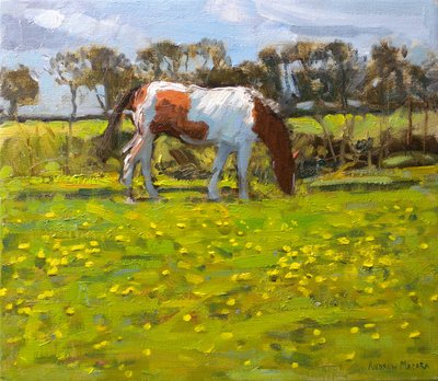 まだら馬、2010年（キャンバスに油彩） 作： Andrew Macara