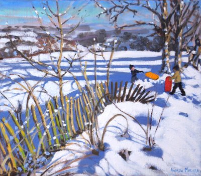 赤とオレンジのそり、ダービーシャー、2017年 作： Andrew Macara