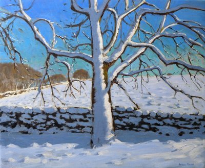 雪に覆われた木、2011年（キャンバスに油彩） 作： Andrew Macara