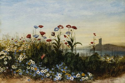 野生の花の銀行を通して見たフェリーキャリグ城、ウェックスフォード、 作： Andrew Nicholl