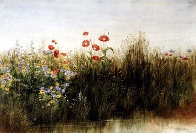 渓流に咲く野の花（水彩） 作： Andrew Nicholl