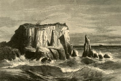 「海岸の情景、マリン郡」、1872 年。 作： Andrew Varick Stout Anthony