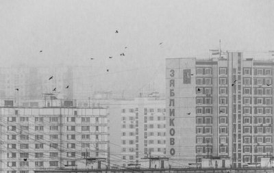 モノクロの都会の鳥たち 作： 