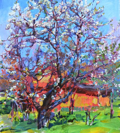  作： Andrii Kutsachenko