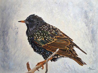  作： Angeles M. Pomata