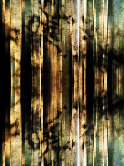 「森の影」の要約 作： Angelo Cerantola