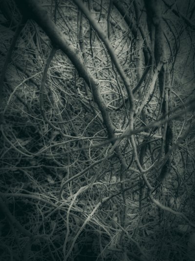  作： 