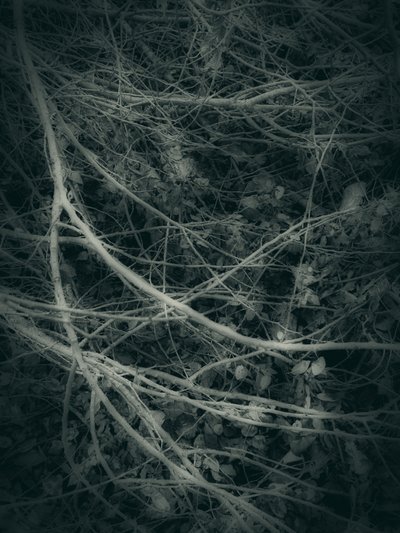  作： 