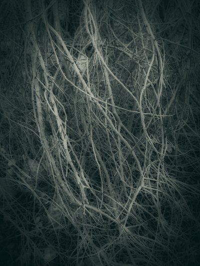  作： 