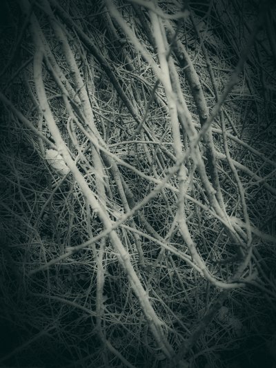  作： 