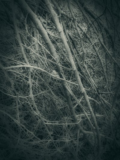  作： 