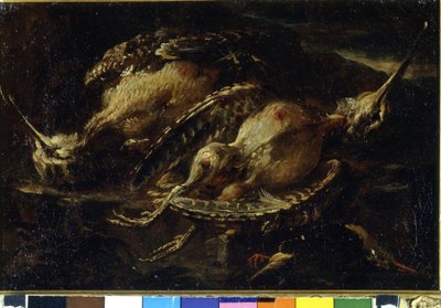 鳥の静物画。アンジェロ・マリア・クリヴェローネ（？-1730/60？）の絵画。ミラノ、CRA。 作： Angelo Maria Crivelli