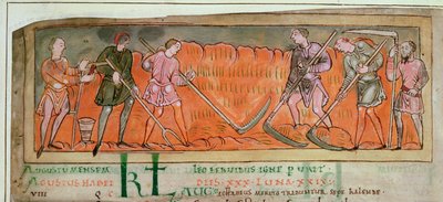 Cott Tib B V f.6v 収穫、カレンダーから、1030年頃（ベラム）（41681の詳細） 作： Anglo Saxon