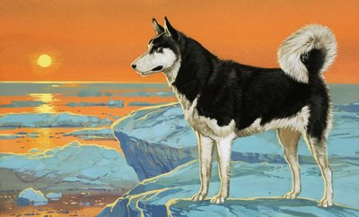 ハスキー犬 作： Angus McBride