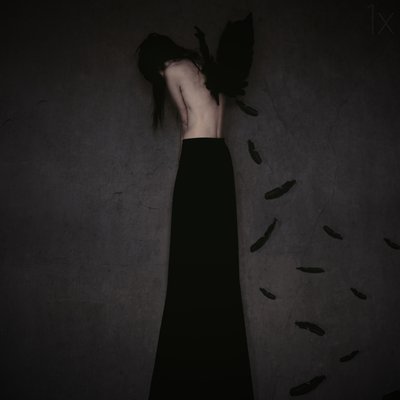 悲しげな翼のある女 作： Anja Matko