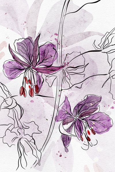  作： Ankie Kooi