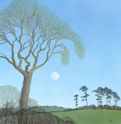 2007年初月 作： Anna Phillips