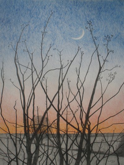 私の窓から、2011（紙に色鉛筆） 作： Anna Phillips