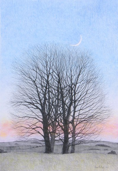 2011年ニュームーン（紙に色鉛筆） 作： Anna Phillips