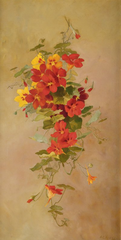 キンレンカ 作： Anna Eliza Hardy