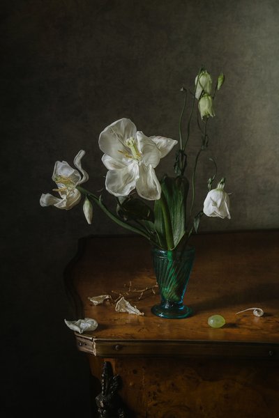 優雅な花の静物画 作： Anna Petina