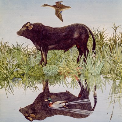 リフレクティング, 2004 （アクリル） 作： Anna Pugh