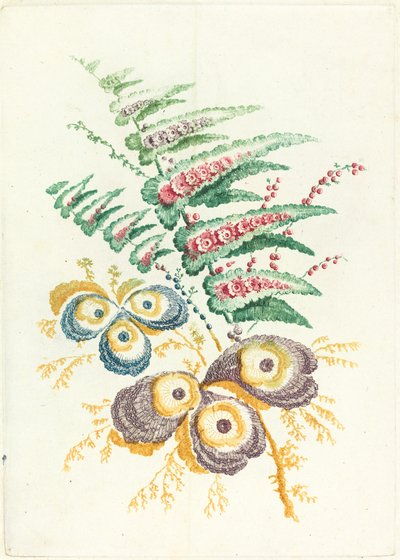カキ殻の花を持つ幻想的な花、c。 1795年。 作： Anne Allen